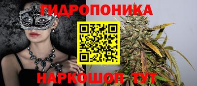 Альфа ПВП Будённовск