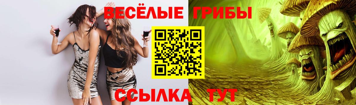 Псилоцибиновые грибы ЛСД Саратов